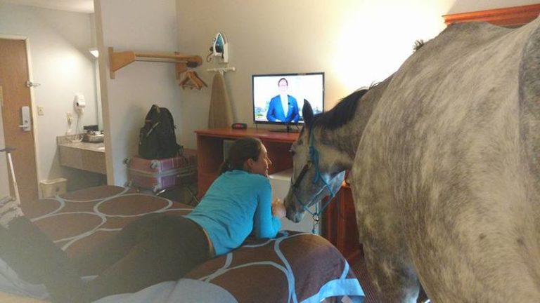 Vrouw test huisdiervriendelijk motel met haar paard