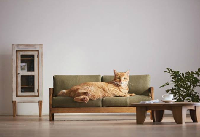 Er bestaan nu ook miniatuurmeubels voor je kat
