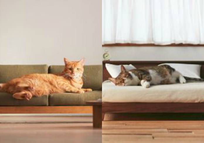 Match meubels met je kat met deze nieuwe miniatuurmeubels
