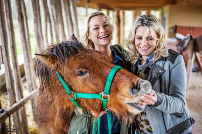 ‘Boer zkt Vrouw’ komt terug en trekt op reis