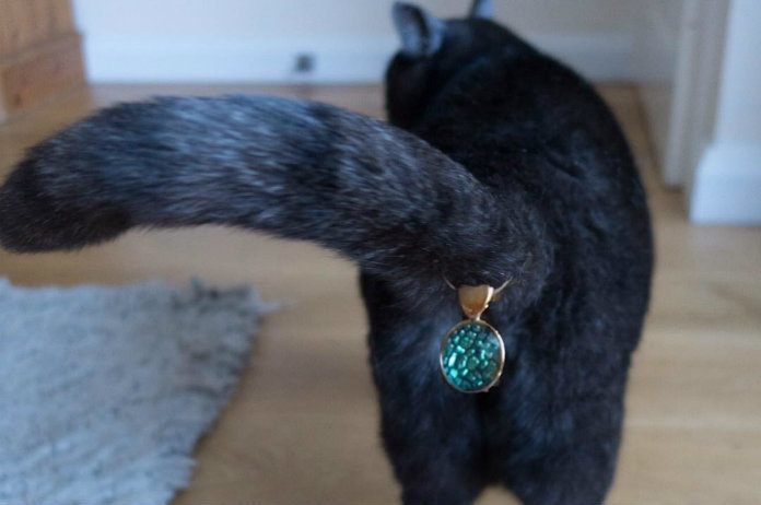 Er zijn nu ook juwelen voor kattenpoepen