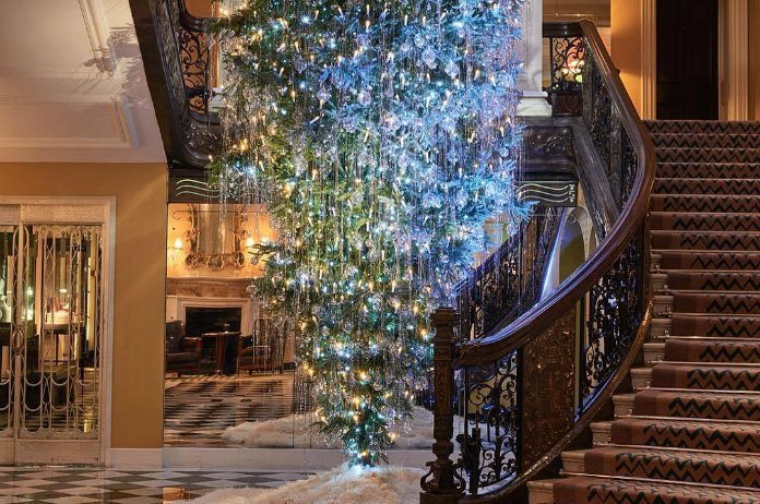 IN BEELD. Zet je kerstboom eens ondersteboven