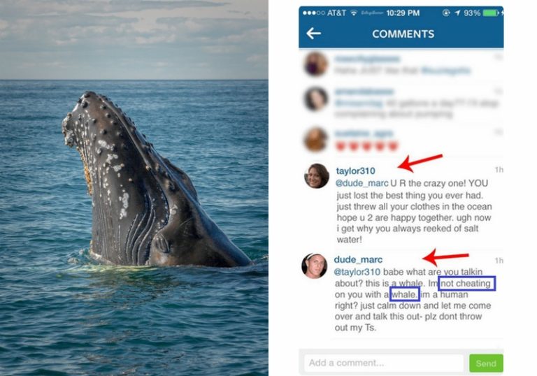 Is dit de vreemdste ruzie ooit op Instagram?