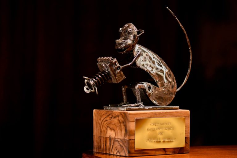 Dit zijn de grappigste natuurfoto’s van 2017