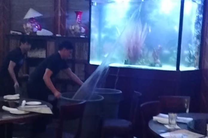 Een gigantisch aquarium in een restaurant is prachtig… tot het BARST! (video)