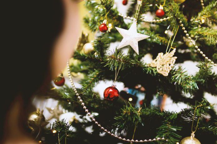 Er leven blijkbaar 25.000 insecten in een kerstboom