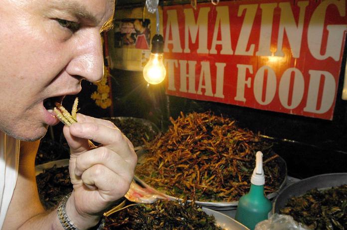 Insecten kunnen vlees perfect vervangen