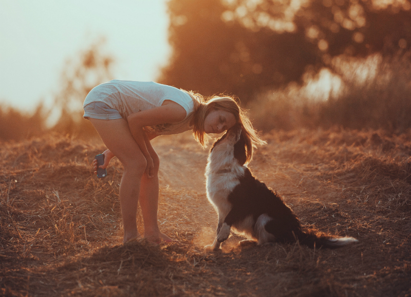 Vrouwen spreken beter hondentaal dan mannen