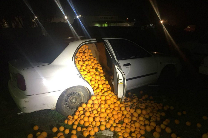 Slinkse sinaasappeldieven betrapt door uitpuilende auto’s