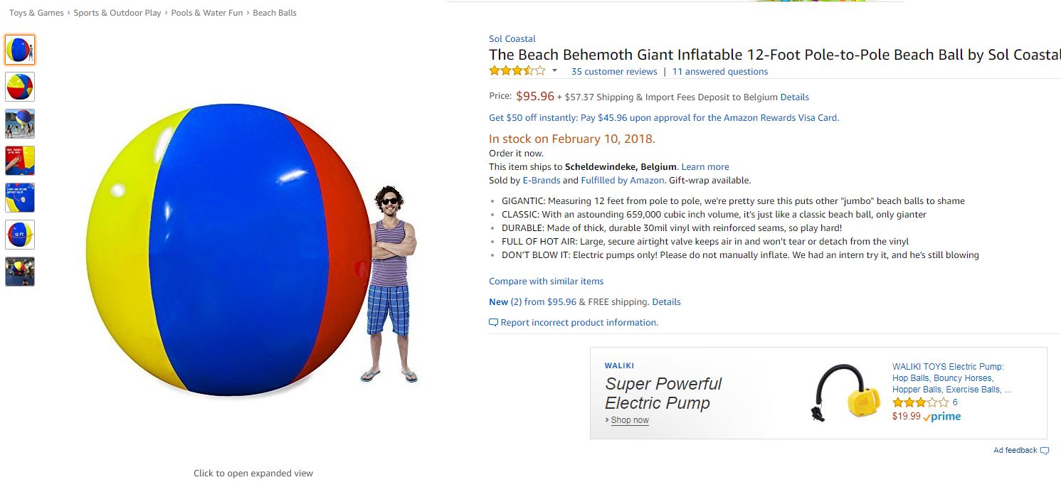 Internet ligt in een deuk met review over strandbal die 100 dollar kost