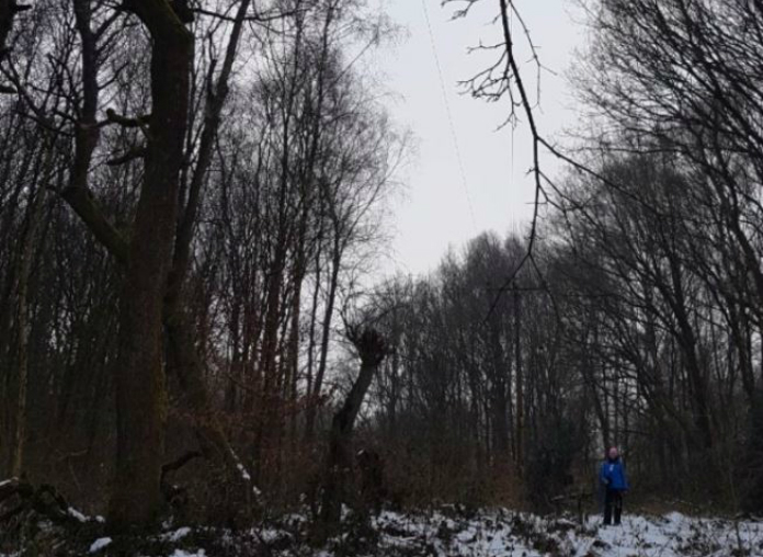 Man overleeft op wonderbaarlijke wijze aanraking met hoogspanningskabel