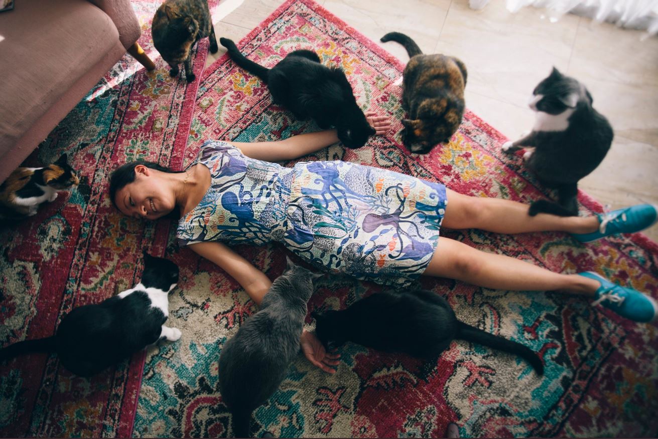 Amerikaans koppel heeft ‘kitten portaal’ in zijn tuin