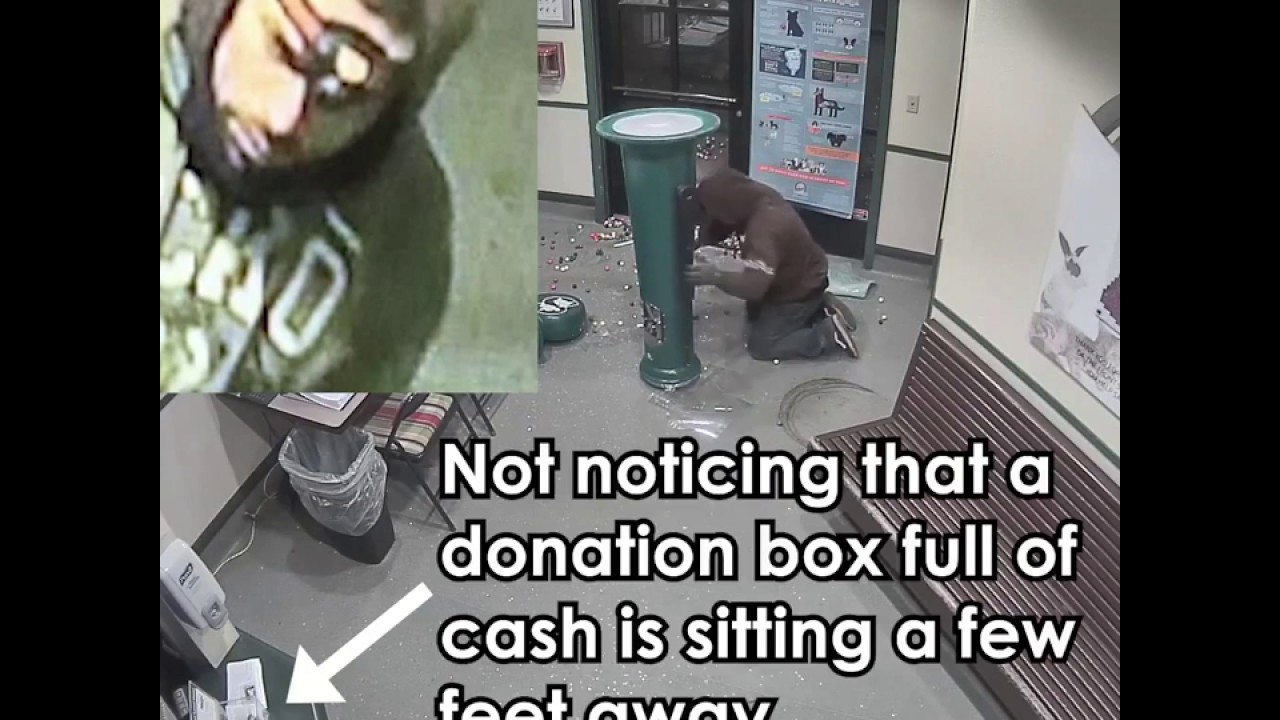 VIDEO. Onhandige dief steelt snoepmachine in dierenasiel