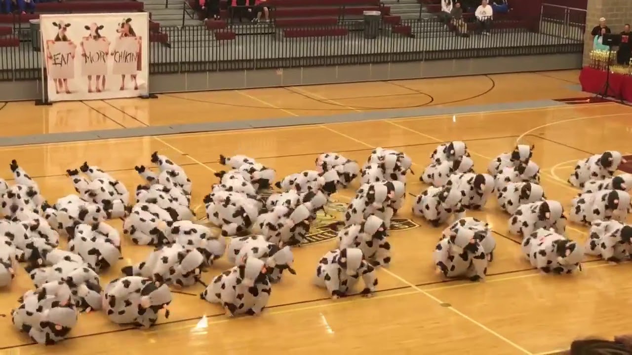 VIDEO. Schattige dansgroep doet ieders hart smelten