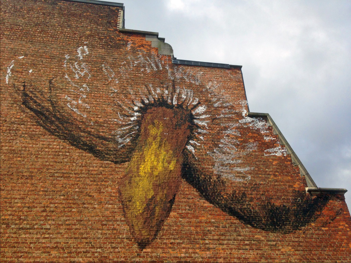 Nieuwe expliciete muurschildering opgedoken in Brussel