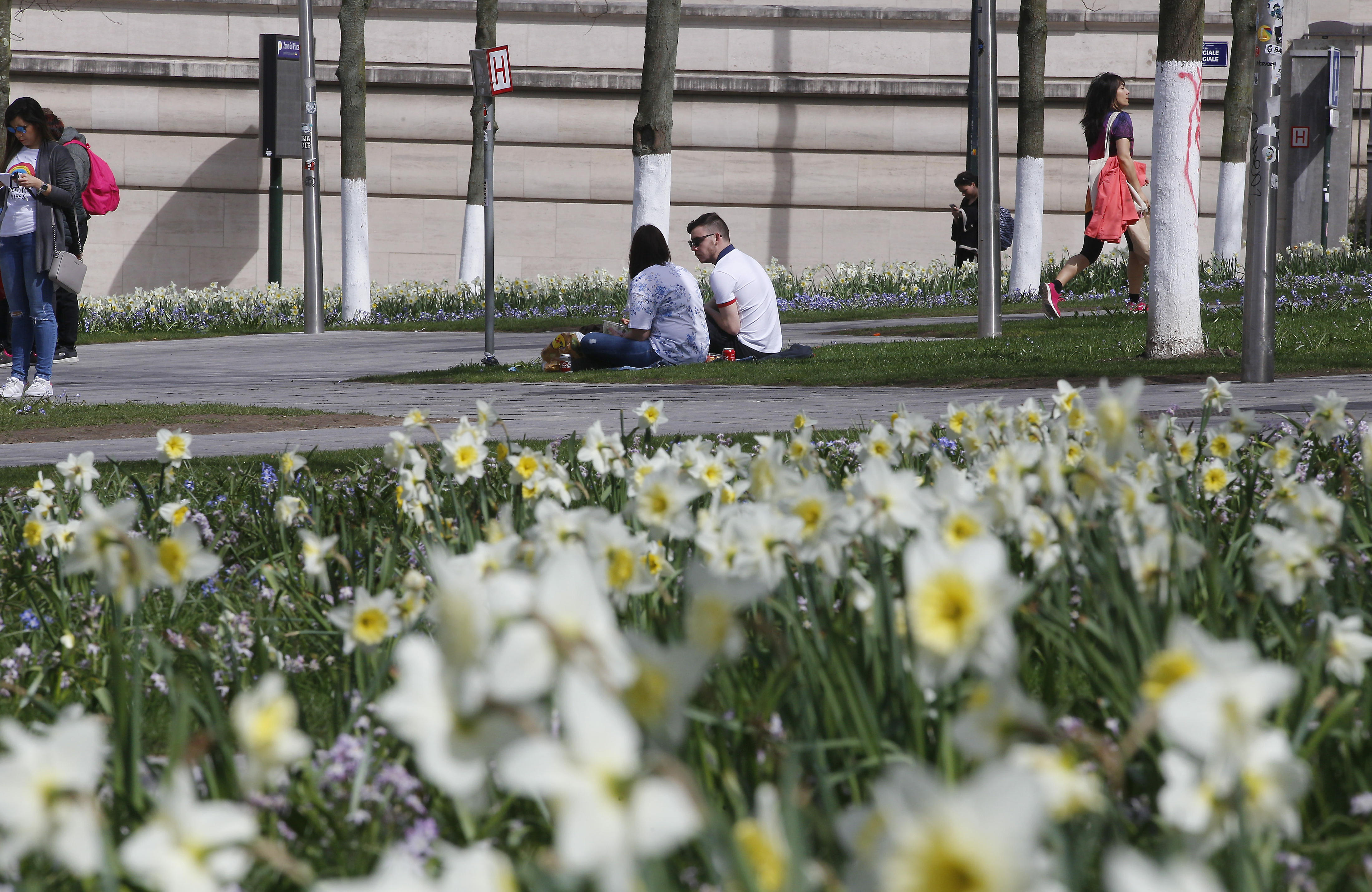 Stralend lenteweer overheerst deze week