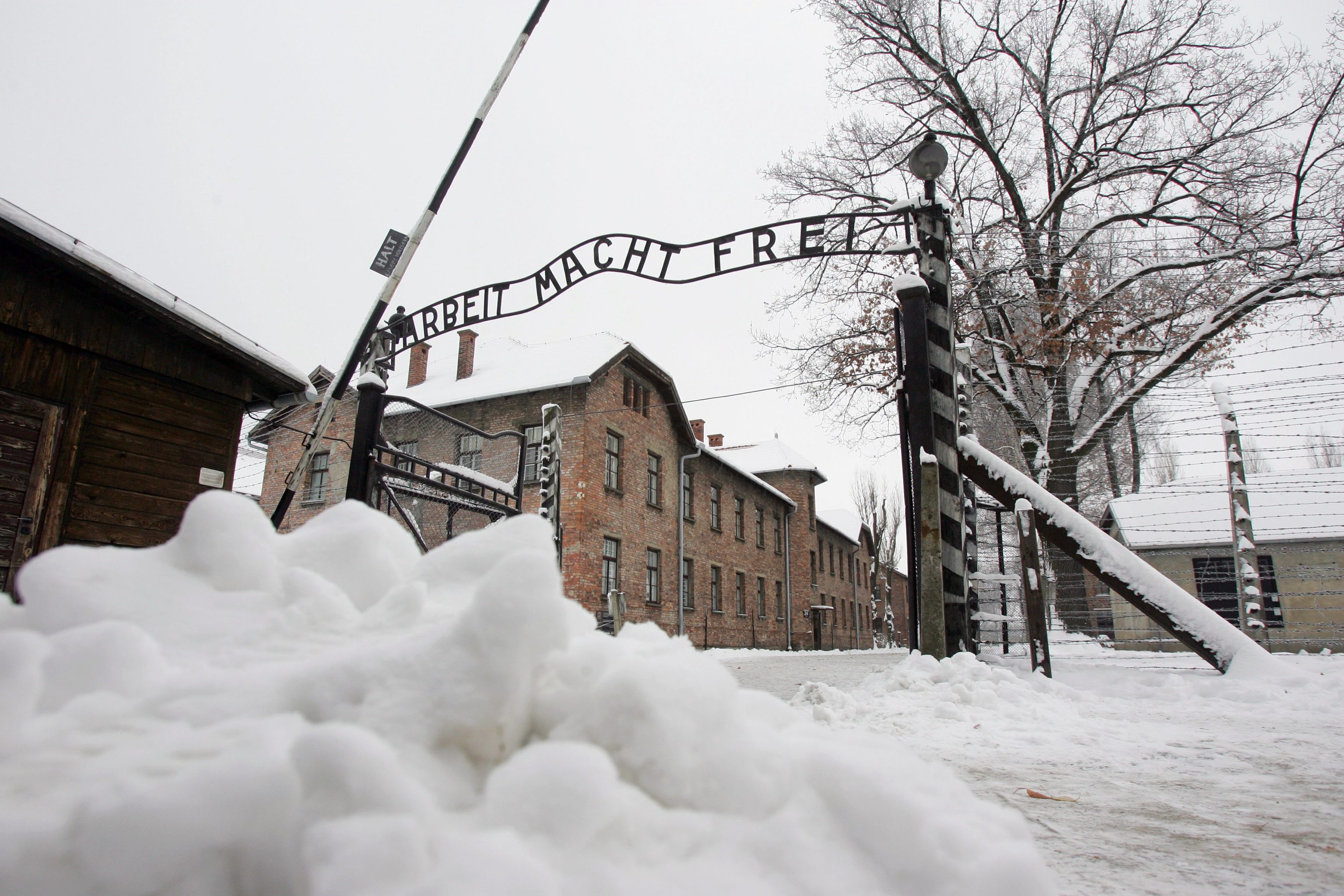 Een vijfde van de Amerikaanse millenials weet niet wat Auschwitz is
