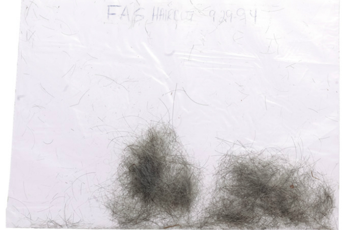 Haar van Frank Sinatra te koop aangeboden