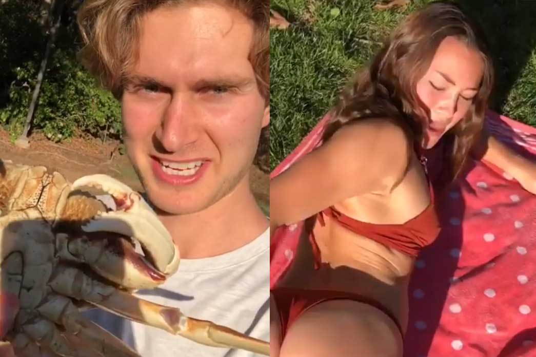 Zij ligt rustig te zonnebaden. Hij staat, met een krab in de hand, klaar om toe te slaan! (video)