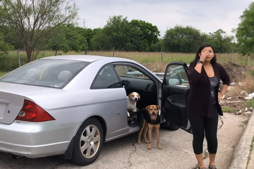 SCHANDALIG: ze laten vier (!) honden achter maar worden betrapt. Toch rijden ze nadien gewoon weg! (video)