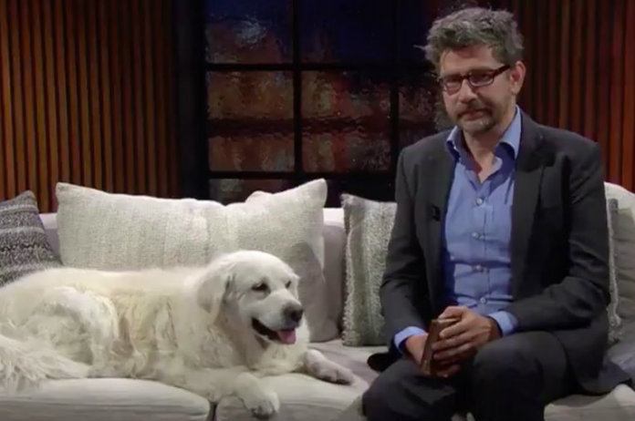 Wim Helsen moet afscheid nemen van trouwe viervoeter