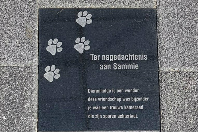 Kat krijgt eigen gedenksteen voor ingang supermarkt