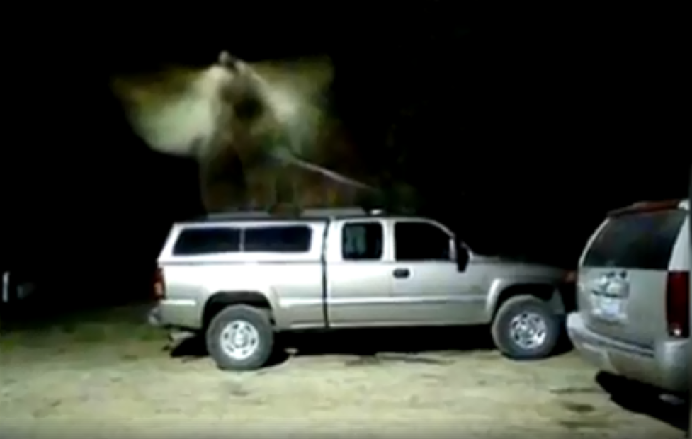 Bewakingscamera legt beelden van engel vast