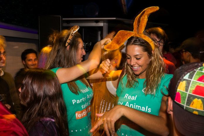 Spoor feestelijk naar de wei met de Party Train