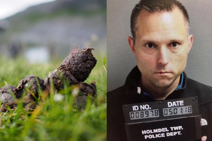 Schoolinspecteur blijkt de ‘speelplaatskakker’ te zijn