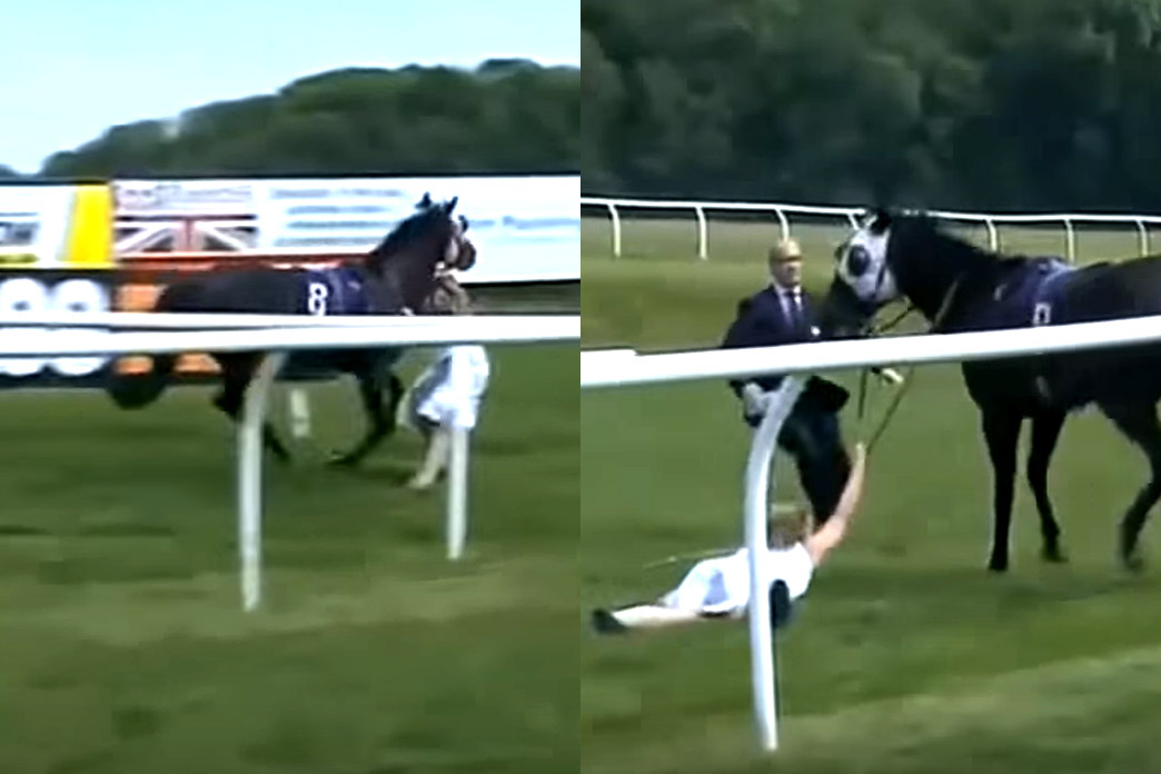 Heldin: dappere presentatrice gaat in de weg staan van een op hol geslagen racepaard. En dan doet ze dit! (video)