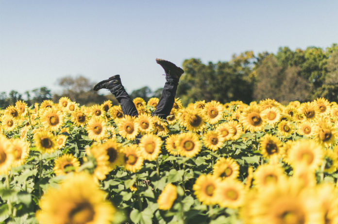 Dit kan je vandaag doen om je gelukkiger te voelen