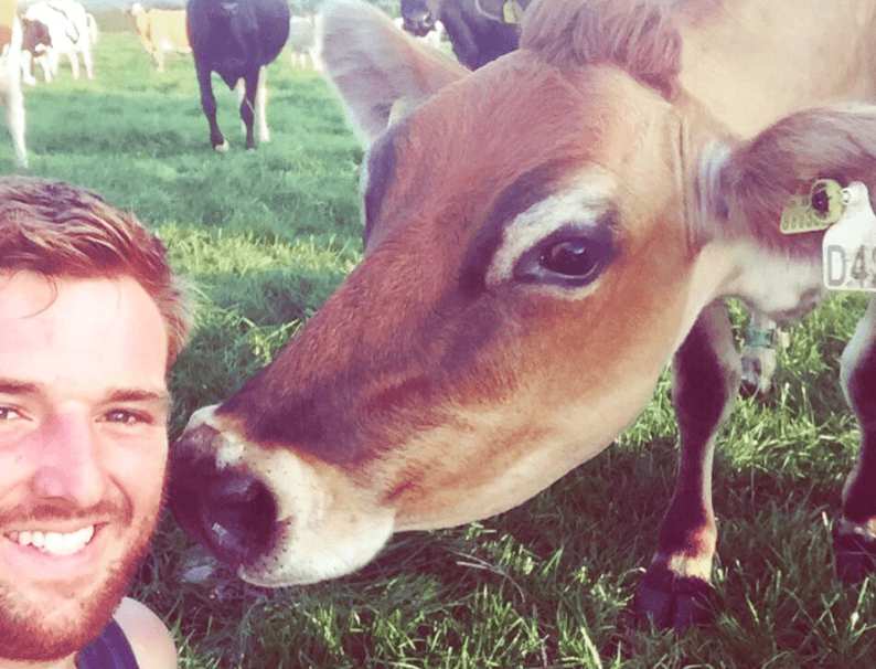 Dit is de meest sexy koe van Groot-Brittanië