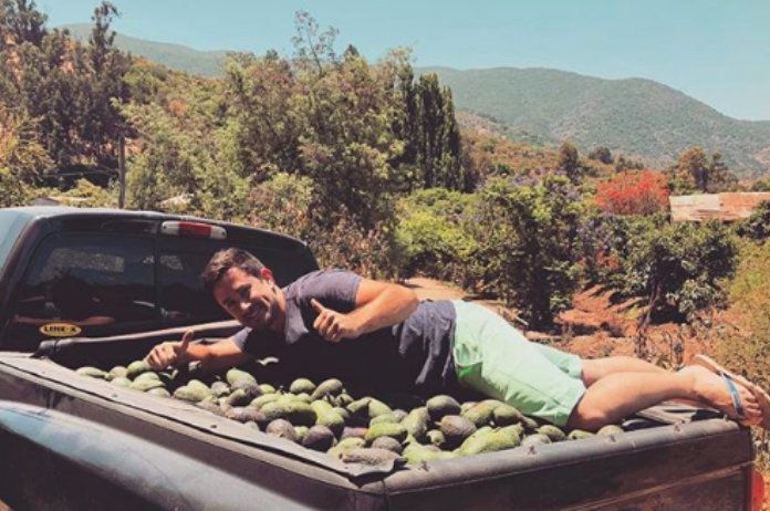 Geen geld? Betaal zoals deze man je gsm met avocado’s