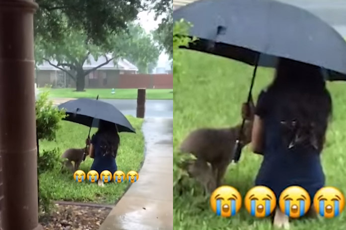 Dierenliefde is… met een paraplu naast je hond in de regen gaan zitten terwijl ie zijn behoefte doet (video)