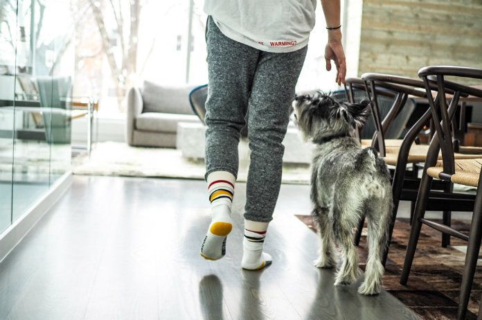 Voorzichtig. Dit gebeurt er met je viervoeter als je hem niet vaak genoeg uitlaat