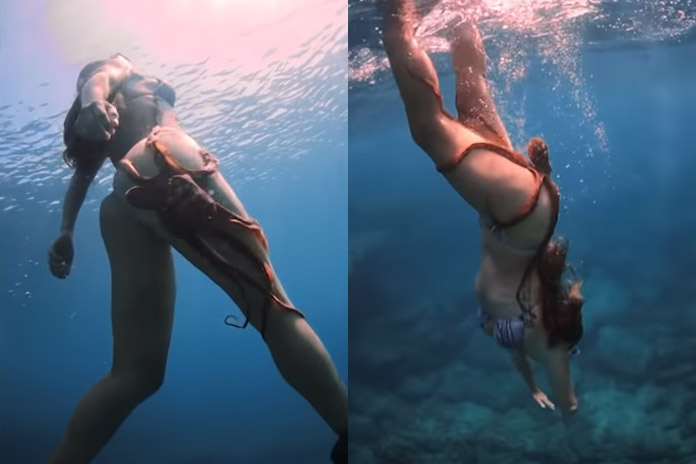 ‘Luie’ octopus gebruikt billen van duikster als gratis taxi (video)