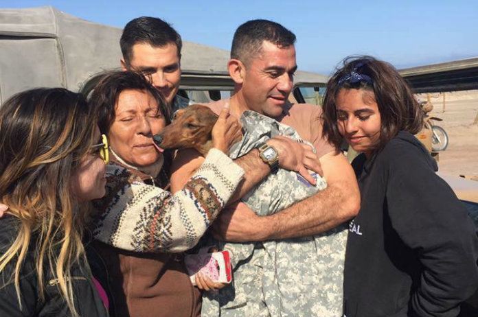 Dashondje Gaston overleeft miraculeuze tocht in de woestijn nadat hij ontsnapt uit vliegtuig