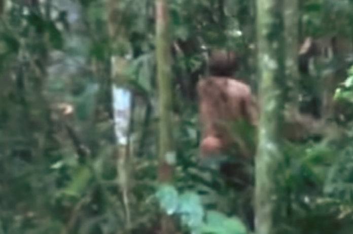 Zeldzame Indiaan voor het eerst in 22 jaar gespot