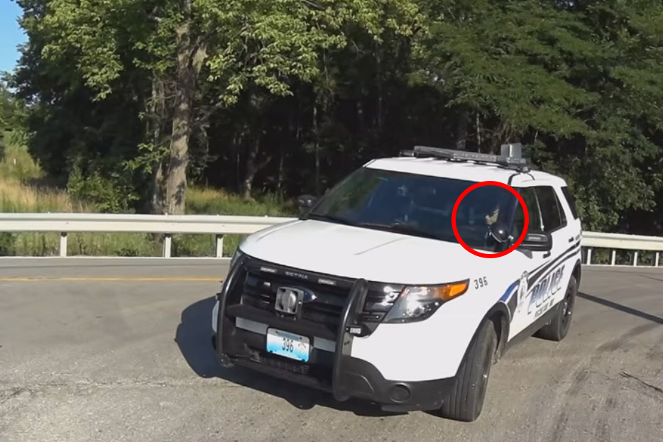 “Klootzak”: Fietser aangereden door AGENT die tijdens het nemen van een bocht met zijn gsm bezig was (video)