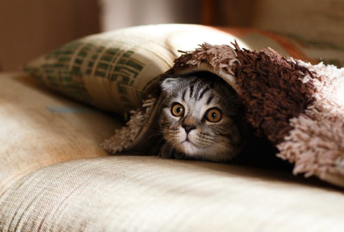 Heb je het warm? Daarom slaap je in de zomer toch beter met een deken