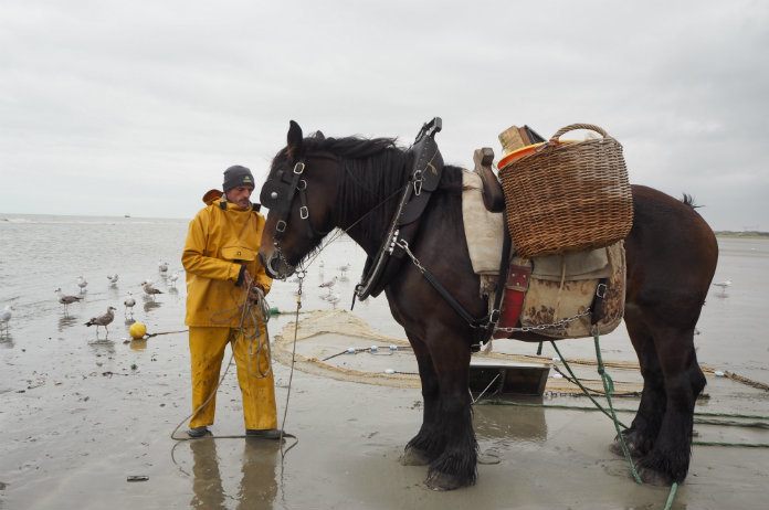 TIME OUT. Op stap met de Oostduinkerkse garnaalvissers