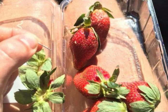 Australische premier vergelijkt sabotage van aardbeien met ‘terrorisme’
