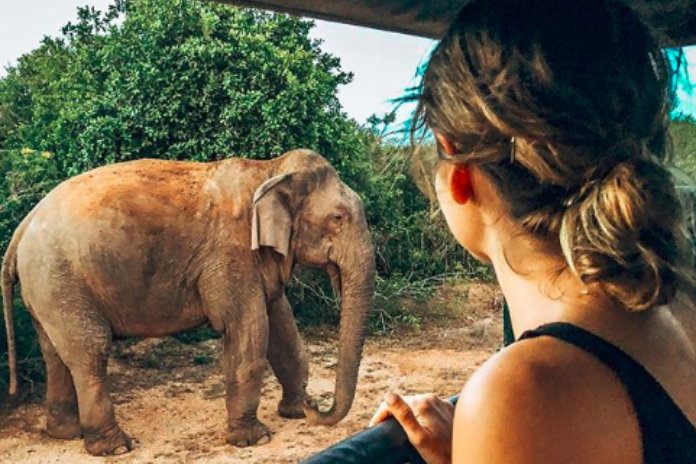 Blogger overleeft op groenten en vis uit blik zodat ze op reis kan gaan