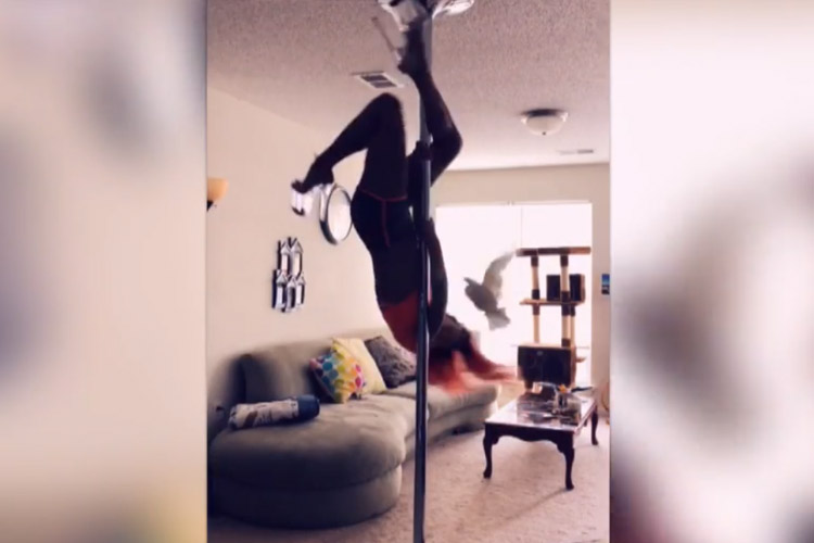 Zij wil een leuk paaldansfilmpje maken. Maar daar steekt haar kaketoe een stokje voor! (video)