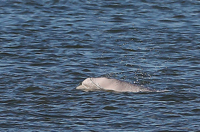 Geen vuurwerk door Benny de Beloega