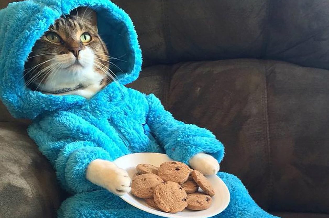 Amerikaanse ambassade stuurt uitnodiging voor ‘Cookie Monster’ uit