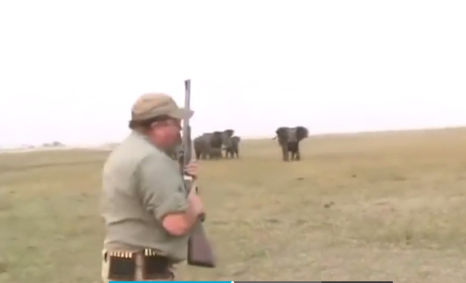 VIDEO. Laffe jagers op de vlucht nadat ze olifantje doodschieten