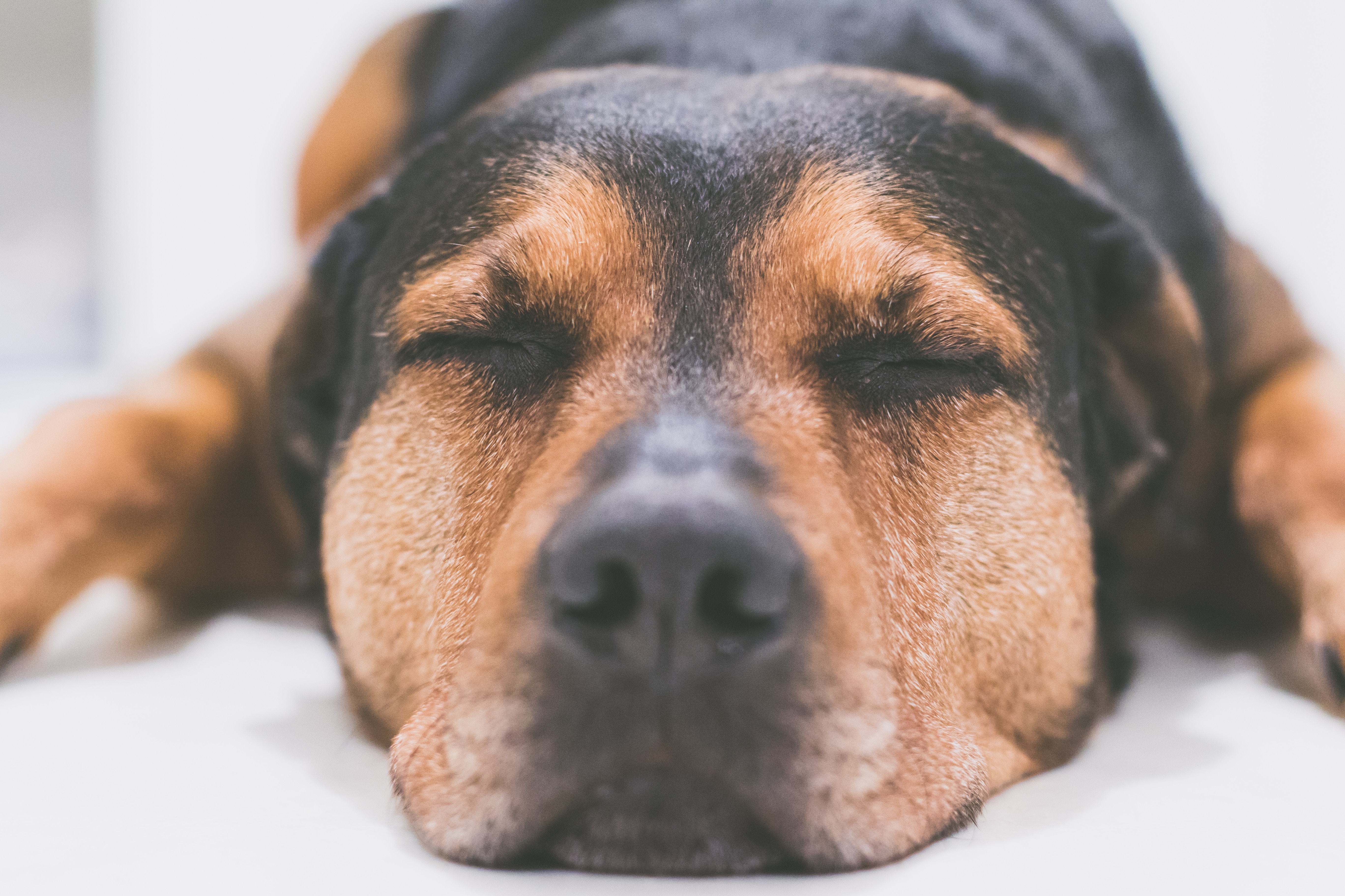 Luieren maakt je productiever