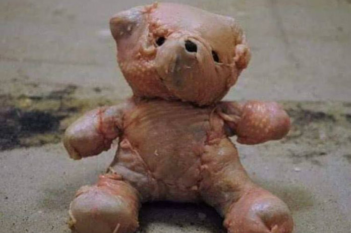 Zet deze teddybeerkalkoen eens op je kerstmenu