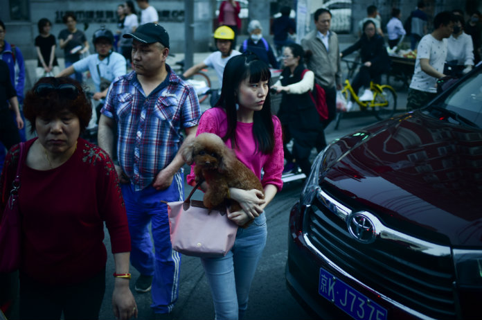In deze Chinese stad is het verboden om je viervoeter uit te laten